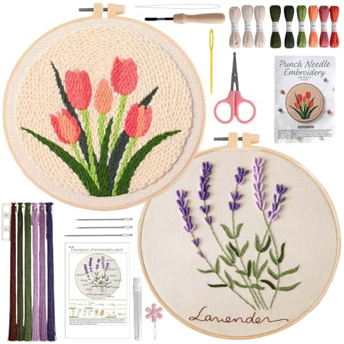 AERXSRET Punch Needle Kit and Embroidery Kit for Adult Beginners, DIY Craft