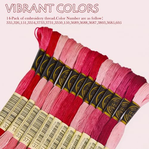 Premium Rainbow Color Embroidery Floss - Cross Stitch Threads - Friendship Bracelets Floss - Crafts Floss - 14 Skeins Per Pack Embroidery Floss, Cranberry Gradient - color: Cranberry Gradient