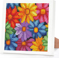 Colorful Daisies Stamped Cross Stitch Kits for Adults Beginners with Frame - color: Flowers Cross Stitch with Frame