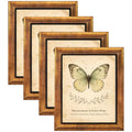 XUANLUO 8x10 Picture Frames Set of 4,Rustic Retro Photo Frame(Gold) - color: Gold-4pcs, size: 8 x 10 inch