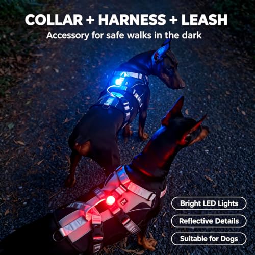 LaRoo Dog Collar Light, 13g Ultra-Light USB Rechargeable LED Dog Lights, IPX6 Waterproof 3 Modes Clip-On Pet Safety Light for Night Walking, Hiking & Camping -Green - color: Green-B