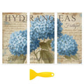Peacoblue Hydrangea Pattern Rub On Transfers for Furniture Craft 6"x12" - style: Hydrangea Pattern