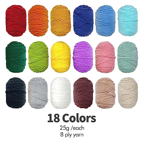 HAND U JOURNEY Punch Needle Kit, 18 Colors Yarn & 2 Hoops