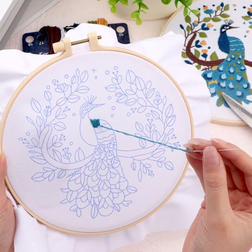Embroidery Kit for Beginners, Needlepoint Kits for Adults with Peacock Stamped Pattern Hand Crafts, Adults Starter Cross Stitch Kit DIY Needlepoint with Hoop, Needles Stamped Patterns DIY Supplies - color: Peacock