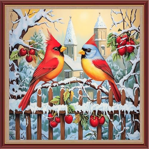 Dooxvey Cross Stitch Kits for Adults Beginners,Full Range of Cross-Stitch Stamped Kits Needlepoint Kits for Beginners Embroidery Kits 11CT Cross Stitch Patterns-Colorful Bird Snow Scene 18x18 inch - color: Magicolor07