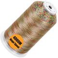 New brothread 4000M Huge Spool Embroidery Machine Thread - Variegated Color - color: Variegated Color-V-048