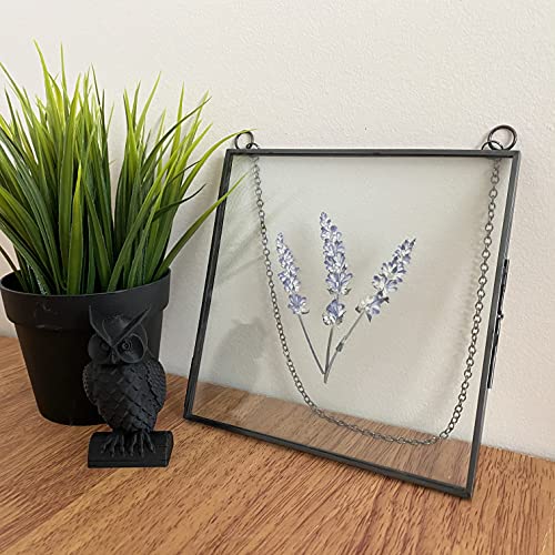 Beedecor Glass Frame for Pressed Flowers, Leaf and Artwork - Hanging Square Metal Picture Frames, Clear Double Glass Floating Frame, Wall Decor Photo Display, Set of 2 Flower Press Frames with Chain - color: Gunmetal black, size: 6x6