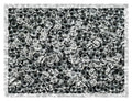 1800 pcs (0.7oz=20g) Preciosa Ornela Seed Beads 10/0 (2.3mm-0.8mm Hole), Rocailles for Embroidery, Bracelets, DIY and Other Craft, Transparent colorless Crystal 00050 - color: Crystal (00050)
