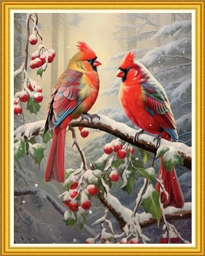 DMCVIVR Stamped Cross Stitch Kits for Beginners Adults Needlepoint Kits for Beginners Embroidery Kits for Adults Crossstitch Kit for Beginners 11CT-Bird Snow Scenery 16x20 inch, ArtKits19 - color: ArtKits19