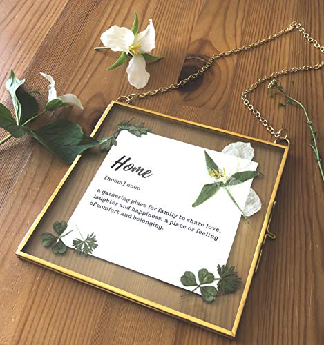 Glass Frame for Pressed Flowers, Leaf and Artwork - Hanging Gold 6x6 Square Metal Picture Frames, Clear Double Glass Floating Frame, Wall Decor Photo Display, Set of 2 Flower Press Frames with Chain - color: Gold, size: 6x6