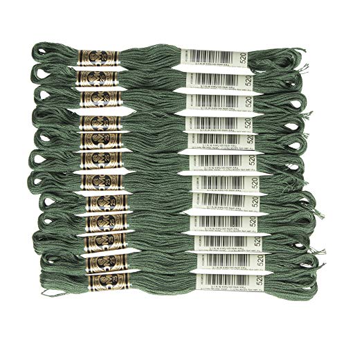 DMC 6-Strand Embroidery Cotton Floss, Dark Fern Green - style: #520 Green