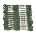 DMC 6-Strand Embroidery Cotton Floss, Dark Fern Green - style: #520 Green