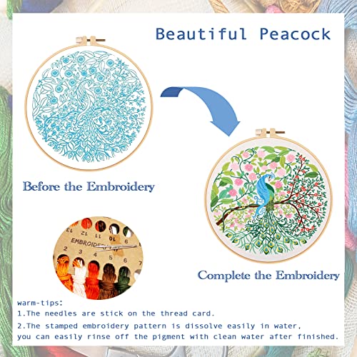 MUFEKUM Embroidery Kit for Beginners with Pattern and Instructions