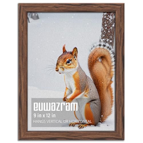 Rustic Walnut 9x12 Frame - Single Frame, 9 x 12 Poster Frame for Artwork, Puzzles, Photos and Movie Posters Picture Frames - size: 9" x 12"