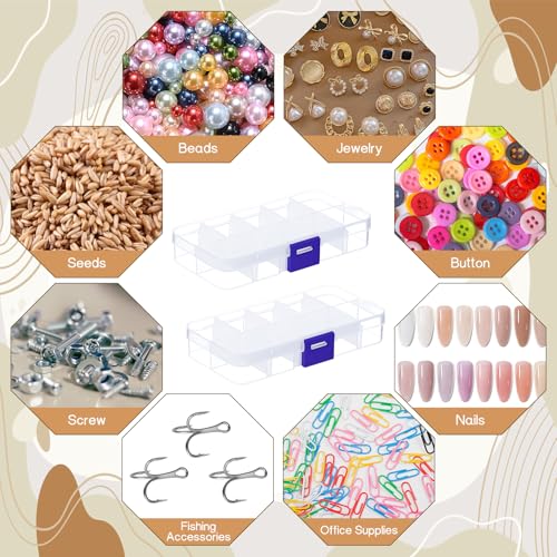 Plastic Jewelry Organizer Box Clear Storage Bead Case for Little Crafts/Arts 2 Pack Container with 10 Grids, Small