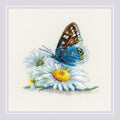 RIOLIS - Fragile Beauty 2220, Floral Cross Stitch Kits 6"x 6", Cross Stitch Kits for Beginners & Advanced, Crossstitching Kits Adult, Counted Stitching Kits, Butterfly Embroidery Kit - style: Fragile Beauty 2220