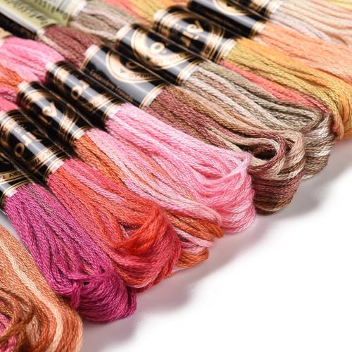 18 Skeins Embroidery Thread Floss 0.5 mm Friendship Bracelet String Making 6 Ply Polyester Cross Stitch Kit Supplies 18 Color 8.75 Yards(8m)/Skein - color: 18 Skeins, Color B