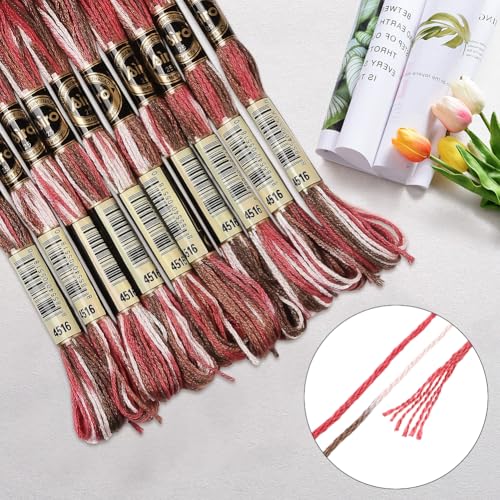 10 Skeins 6 Strands Red Embroidery Floss Threads Bulk Variegated Gradient Cross Stitch Thread Polyester Friendship Bracelets String for Jewelry Making Hand Sewing Knitting Stitching Crafts - color: Red