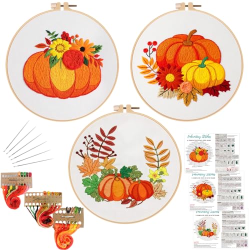 Louise Maelys 3 Set Embroidery Kit for Beginners with Pumpkin Harvest - color: pumpkin flower