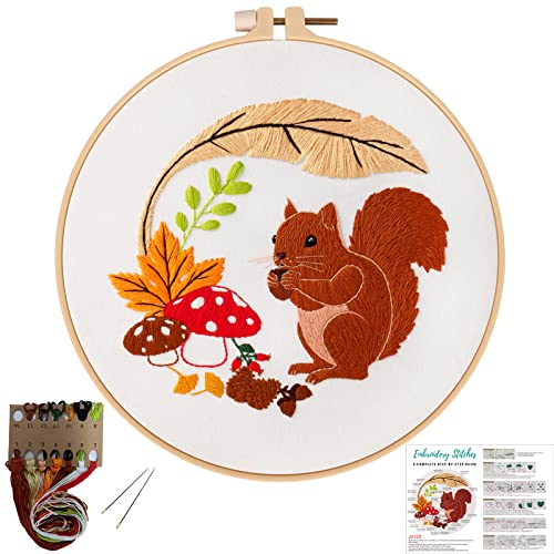 Louise Maelys Autumn Squirrel Embroidery Kit, Animal Craft for Beginners - color: kit-10