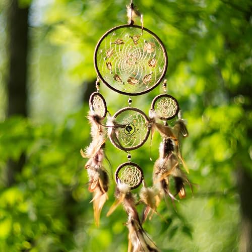 Caydo 6 Pieces 8 Inch Embroidery Hoop with Metal Screw - style: 8 INCH