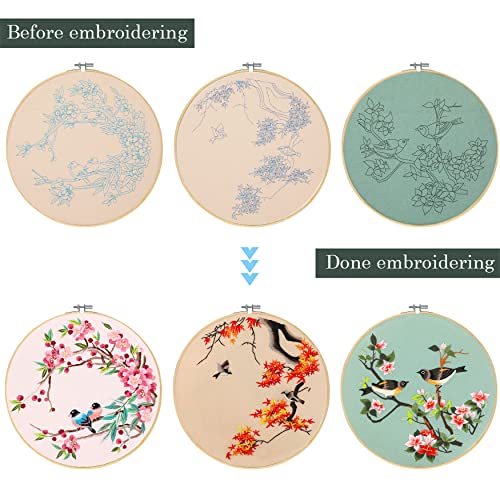 Santune 3 Pack Embroidery Kit for Adults Cross Stitch Kits for Beginners with Bird Patterns,3 Instructions,1 Hoop,Threads and 6 Needles,Hand Needlepoint Sets for Women - color: Cut Bird Series