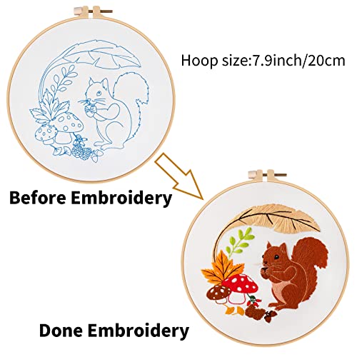Louise Maelys Autumn Squirrel Embroidery Kit, Animal Craft for Beginners - color: kit-10