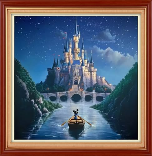 Foxhool Stamped Cross Stitch Kits,11CT Printed Cross Stitch Pattern Full Embroidery Kits for Beginner Needlepoint Kits&Castle Adventure 18x18 inch - color: ColorSet22