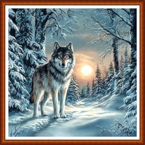 Funart Stamped Cross Stitch Kits for Beginners Full Range of Cross Stitching Preprinted Embroidery Kits for Adults, 11CT Embroidery Pattern Needlepoint Kits-Snow Wolf 18x18 inch - color: ColorArt48
