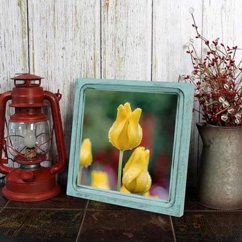 CVHOMEDECO. 8x8 Picture Frame Made of Solid Wood High Definition Glass Rustic Vintage Designs Small Photo Frame for Tabletop Display and Wall Mounting, Distress Blue - color: Distress Blue A, size: 8" X 8"