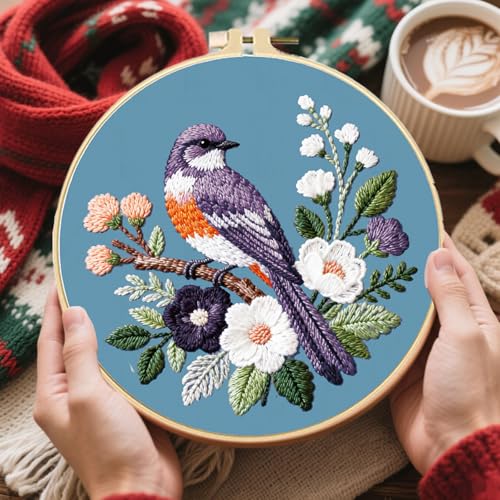 FREEBLOSS 4 Sets Embroidery Kit for Beginners Needlepoint Birds&Wreath Stamped Embroidery Starter Kit with Instructions, Needles, Threads, 2 Hoops 11.6"/29.5CM - style: Bird Wreath