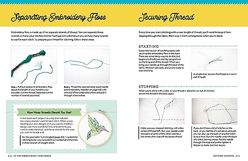 The 30-Day Embroidery Challenge: A Day-by-Day Guide to Learn New Stitches and Create Beautiful Designs (30-Day Craft Challenge)