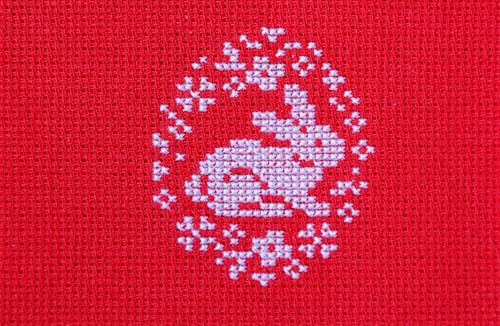 Aida Cloth 11 Count Cross Stitch Fabric,19×28inch (11CT,Red) - color: Red, size: 11CT