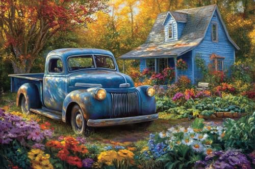 Moohue 14ct Counted Cross Stitch Kits for Adults Car Garden House Printed Stamped Cross Stitch Patterns Kits Cross Stitch Supplies (Car Garden House) - color: Car Garden House