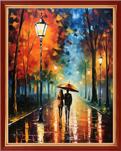 Dooxvey Cross Stitch Kits for Adults Beginners,Full Range of Cross-Stitch Stamped Kits Needlepoint Kits for Beginners Embroidery Kits 11CT Cross Stitch Patterns-Strolling on a Rainy Night 16x20 inch - color: Artpattern14