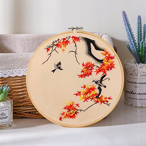 Santune 3 Pack Embroidery Kit for Adults Cross Stitch Kits for Beginners with Bird Patterns,3 Instructions,1 Hoop,Threads and 6 Needles,Hand Needlepoint Sets for Women - color: Cut Bird Series