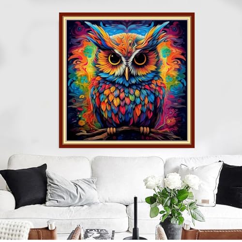 Redxing Stamped Cross Stitch Kits Full Range of Embroidery Starter Kits- Needlepoint Counted Cross Stitch Kits for Beginner Adults 11CT Printed Embroidery Kit-Magic Owl 18x18 inch - color: Artskits09