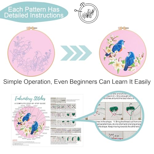 Nuberlic 3 Pack Embroidery Kit for Beginners with Cardinal & Blue Bird - color: Hummingbird and Flower