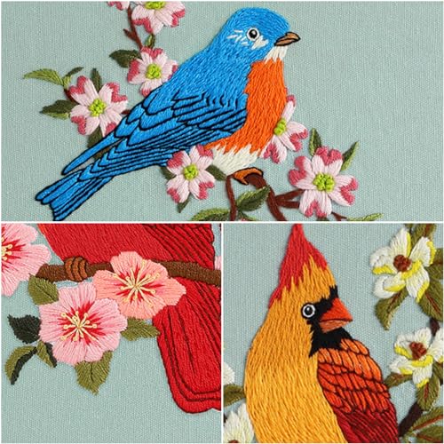 Louise Maelys 3 Set Colorful Bird Embroidery Kit for Beginners Gift - color: Animals-6