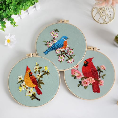 Louise Maelys 3 Set Colorful Bird Embroidery Kit for Beginners Gift - color: Animals-6