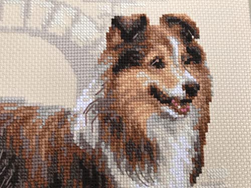 RIOLIS 1710 Sheltie Counted Cross Stitch Kit 9.84 x 9.84 in