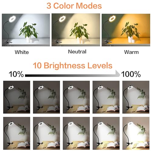Brokimis Clip on Light LED Reading Book Study Eye Protection Desk Lamp - color: Black