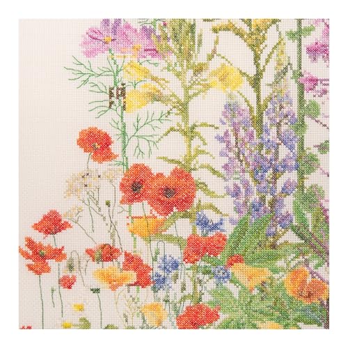 Thea Gouverneur - Counted Cross Stitch Kit - American Wildflowers - Aida - 16 Count - Embroidery Kits for Adults - Crafts - DMC Embroidery Threads and Other Cross Stitch Supplies Included - 554A - color: 554A Aida