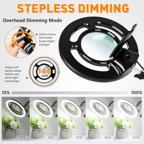 2200 Lumens Magnifying Lamp with Light, 10X Real Glass Lens - color: Black