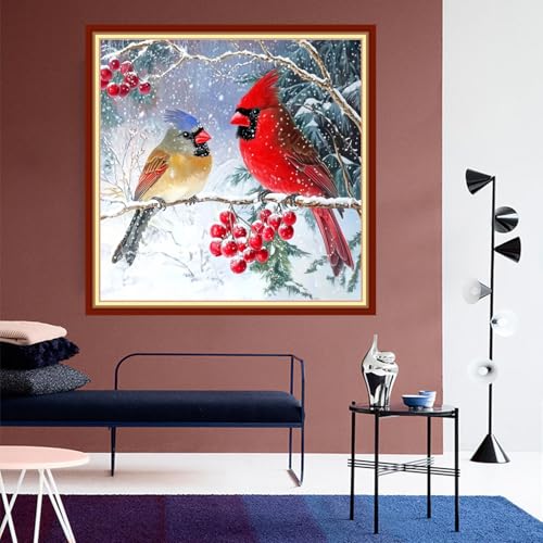 DMCVIVR Stamped Cross Stitch Kits for Beginners Adults Needlepoint Kits for Beginners Embroidery Kits for Adults Crossstitch Kit for Beginners 11CT-Two Little Birds in Snowy Scenery 18x18 inch - color: ColorNice11