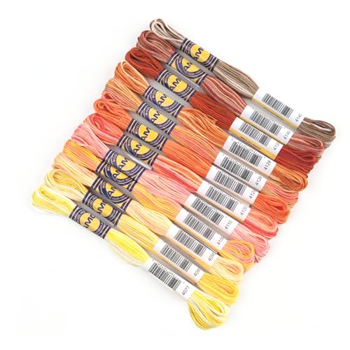 12 Skeins Variegated Mercerized Egyptian Cotton Gradient Color for Embroidery Floss Cross Stitch Threads Friendship Bracelets Floss Craft Floss (12 Colors Set B) - color: 12 colors set B