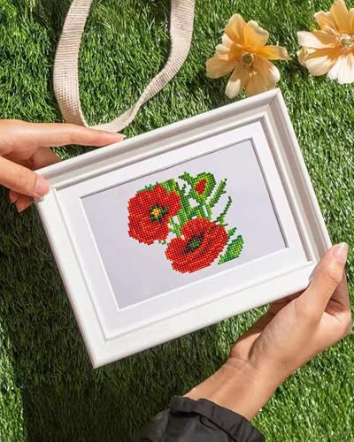 PeakLuv Small Diamond Art Kits Flowers Mini Diamond Painting Kit for Adults - color: Flowers