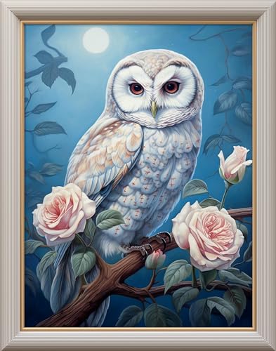 Leczany Cross Stitch Stamped Kit for Beginner - Moonlight Owl | DIY Embroidery Starter Patterns Craft Kit Needlepoint for Adults | 11CT, 3 Strands | 13x16.9 inches - color: 11CT Stamped kits,Moonlight Owl 13x16.9 inches