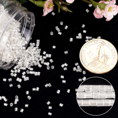 6000pcs Silver Bugle Beads Bulk, Embroidery Tube Short Beads for Jewelry Making, Bracelet,Necklaces Supplies,Craft DIY(3x2mm) - color: Silver