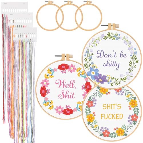 Daifunli 3 Sets Funny DIY Embroidery Kits for Beginners Adults - style: Floral